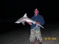 Sharkin State of Intoxication