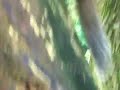 鎌倉の可愛いリス♪