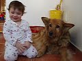 Pet, talk and walk the dog (maybe)
