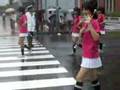 ピンク 女子高生 いっぱい 行進中
