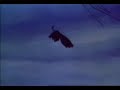 walt-disney-bambi-4d-12.html