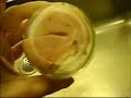 Experimento Carne en un tarro vacío (10 días) Experimento Carne en un tarro vacío (10 días)