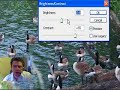 Photoshop CS3 - Brightness & Contrast Photoshop CS3 - Brightness & Contrast