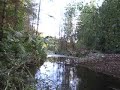 Video0099