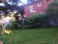 videos de Fence jump