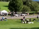 Flee market 1