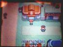 pokemon ev explanation guide:part 1