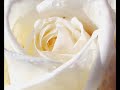 1/4 maryam (mary): the daughter of imr�n