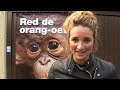 Lieke van Lexmond vraagt jouw steun voor WSPA!