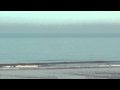 Porthcawl Surf - Video Clips