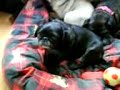 3 In A Bed!!