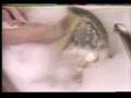 1982 commercial - Palmolive, with Madge the Manicurist