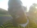 C-sheen-ant-b-silk