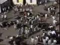 EARTHLINGS - sott. in italiano Pt. 7 of 11 (Clothes - Vestiti).flv