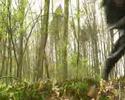 Samurai Kidan  trailer