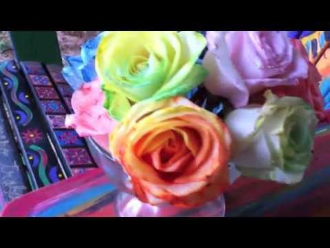 how to dye rainbow roses