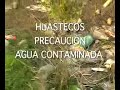 tantoyuca veracruz mexico