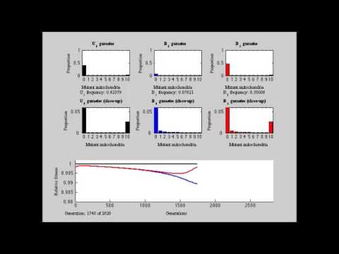 Selection against Heteroplasmy Explains the Evolution of Uniparental Inheritance of Mitochondria