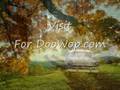 videos de Five Minutes To Love You by The Monorays