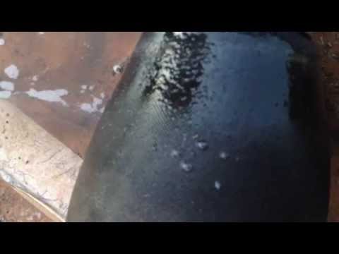 how to find leak in air suspension