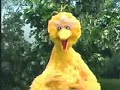 sesame street   big bird sings a verbal noun song