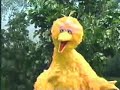 Sesame Street - Big Bird sings a verbal noun song
