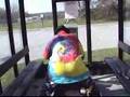 Backalley Surgery Before and After -Discovery Channel Spoof Backalley Surgery Before and After -Discovery Channel Spoof