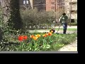All the World is Green