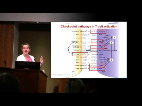 Manipulating the Tumor and the Immune System: Lessons Learned in Melanoma and Beyond