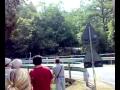 rally crocina