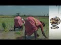 Food-For-Thought---India