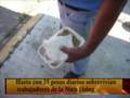 videos de Nien hsing