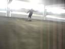 vity downhill skateboarding miami vity downhill skateboarding miami