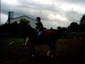 Jumping, Galloping, and Mist rearing. Jumping, Galloping, and Mist rearing.