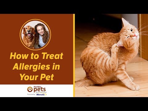 how to treat allergies