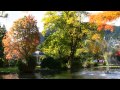 Visit Queenstown - the year's highlights from 'What's happening in Queenstown'