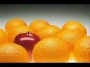 Las Ideas y la Libertad