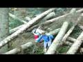 videos de Embuche