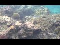 [Optio W90]snorkeling movie HD in Miyakojima:YouTube������=25��