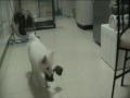 MOV035.MOD