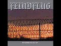 Feindflug - Erinnerung
