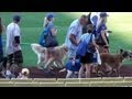 LA Dodgers Host Bark in the Park - Who Let the ...