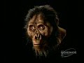 1of3 -- Paleo World - Ape Man
