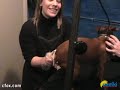 Captain Scotty For Hire - Dog Spa Captain Scotty For Hire - Dog Spa