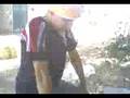 videos de zanda