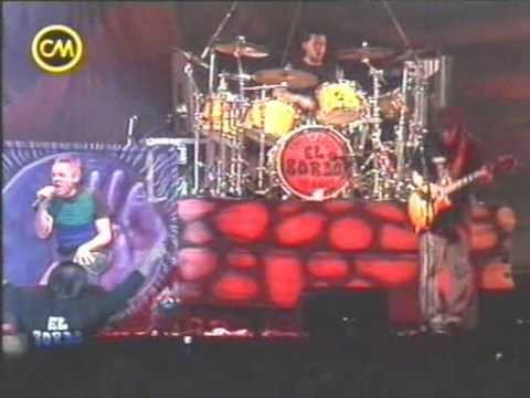 bordo