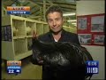 Australia's funniest weatherman, Steve Jacobs. A compilation.