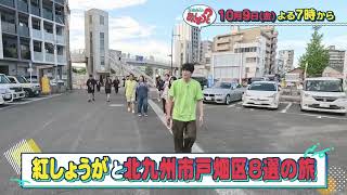 動画のサムネイル