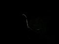Do It Do It (Original Mix)