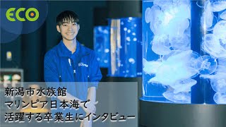 北海道エコ　Youtube Pickup!